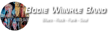 Bodie Winkle Band